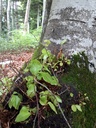 Kaspar-5-scaled.jpg