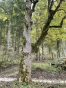 IMG_6452Tafelfresser-Webpage-5-scaled.jpg