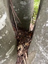 IMG_6431Buchenensemble-Webpage-3-scaled.jpg