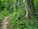 Wegbegleiterin_3_1500px.jpg