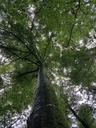 Akropolis-Buche-Webpage-4-scaled.jpg