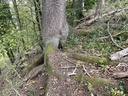 IMG_6443Winkefichte-Webpage-3-scaled.jpg