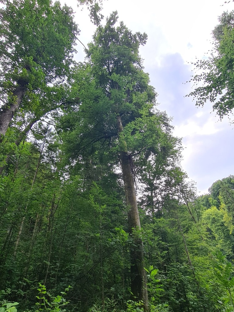 Wegbegleiterin_4_1500px.jpg