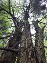 862021-207-Webpage3-scaled.jpg