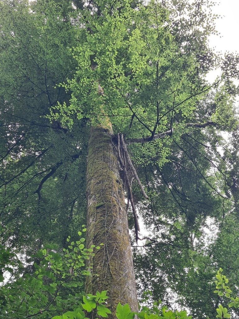 Wegbegleiterin_5_1500px.jpg