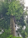 Wegbegleiterin_5_1500px.jpg