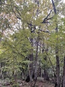 IMG_6416Mutter-Kind-Eiche-Webpage-5-scaled.jpg