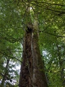 Fortuna-Buche-Webpage-4-scaled.jpg