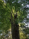 Fortuna-Buche-Webpage-5-scaled.jpg