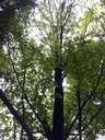 862021-208-Webpage-4-scaled.jpg