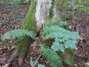 Nachtigall-Buche-Webpage-2-scaled.jpg