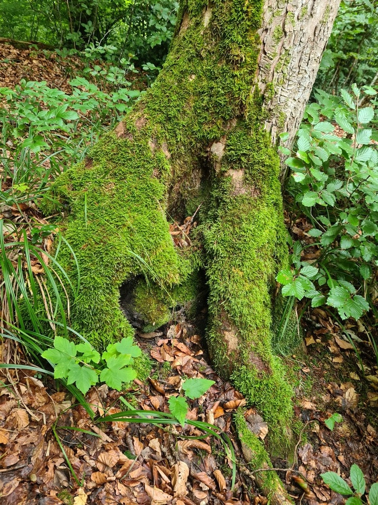 Befreit_2_1500px.jpg