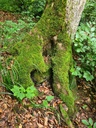 Befreit_2_1500px.jpg