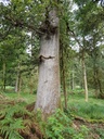 Bounty-Eiche-Webpage-2-scaled.jpg