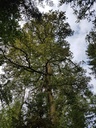 Bounty-Eiche-Webpage-4-scaled.jpg