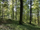 Antigua-Buche-Webpage-3-scaled.jpg