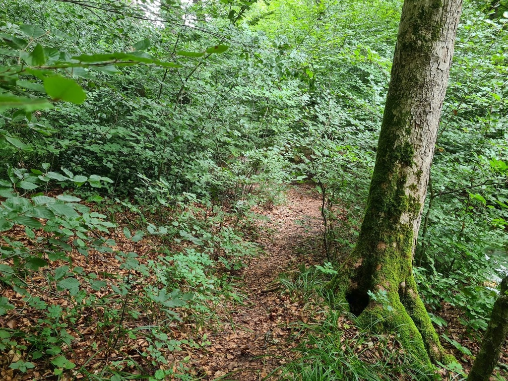 Befreit_4_1500px.jpg