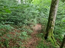 Befreit_4_1500px.jpg