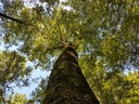 Antigua-Buche-Webpage-4-scaled.jpg