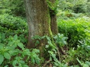 Porthos-Buche-Webpage-2-scaled.jpg