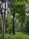 Porthos-Buche-Webpage-4-scaled.jpg