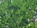 Befreit_5_1500px.jpg