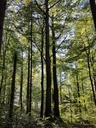 Lumiere-Eiche-Webpage-3-scaled.jpg