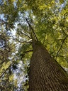 Lumiere-Eiche-Webpage-5-scaled.jpg
