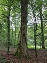 Terrakotta-Eiche-Webpage-3-scaled.jpg