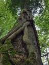 Terrakotta-Eiche-Webpage-4-scaled.jpg