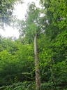 Befreit_6_1500px.jpg