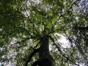 Pirouetten-Buche-Webpage-2-scaled.jpg