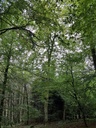 Pirouetten-Buche-Webpage-3-scaled.jpg