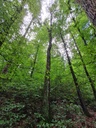 Grogonzola-Birge-Webpage-4-scaled.jpg