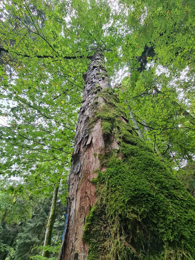 Relief_3_1500px.jpg