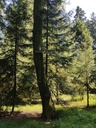 Galadriel-Buche-Webpage-2-scaled.jpg