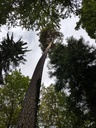 Libertas-Foehre-Webpage-1-scaled.jpg