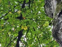 Relief_6_1500px.jpg