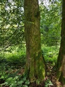 Jorinde-Linde-Webpage-2-scaled.jpg