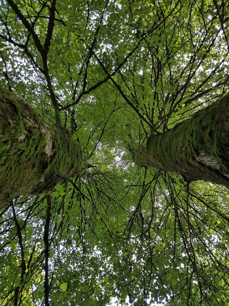 Jorinde-Linde-Webpage-6-scaled.jpg