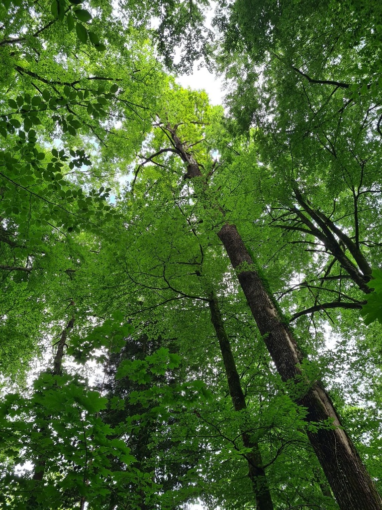 Vom-Leben-gezeichnet_5_1500px.jpg