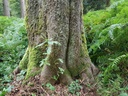 Athos-Buche-Webpage-2-scaled.jpg