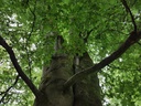 Aramis-Buche-Webpage-2-scaled.jpg
