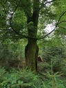 Aramis-Buche-Webpage-4-scaled.jpg