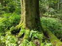 WALDemar-Buche-Webpage-2-scaled.jpg