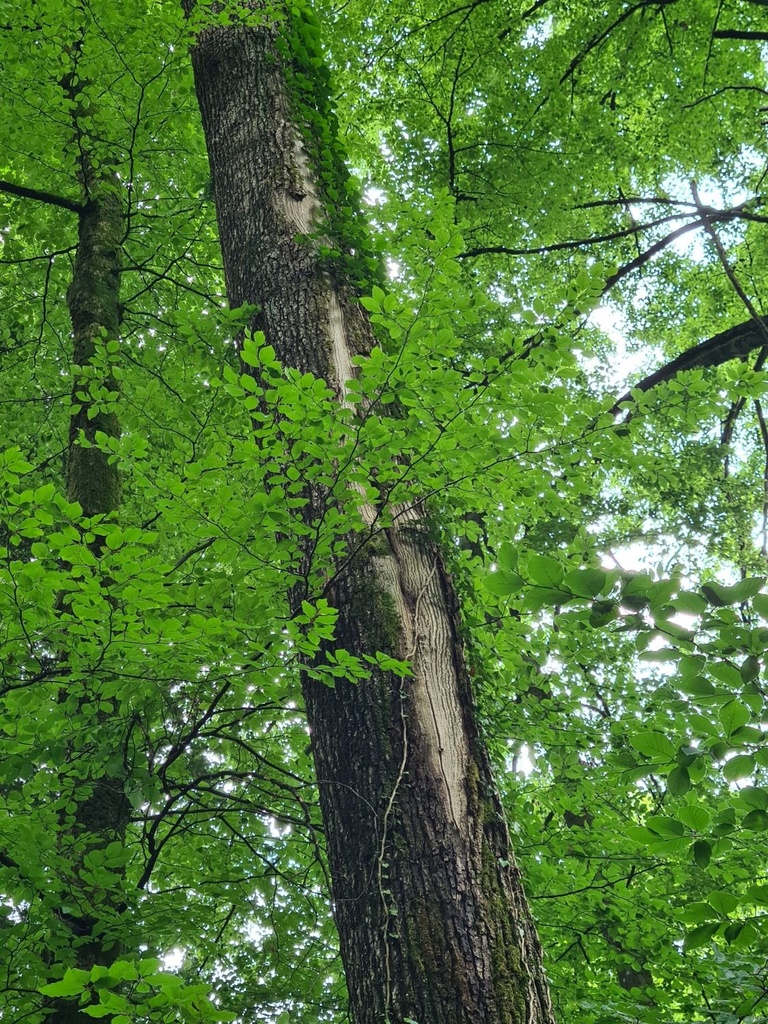Vom-Leben-gezeichnet_6_1500px.jpg