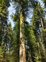 Andromeda-Buche-Webpage-3-scaled.jpg