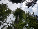 Bertram-Buche-Wepbage-2-scaled.jpg
