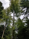 Bertram-Buche-Wepbage-3-scaled.jpg
