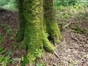 Bertram-Buche-Wepbage-5-scaled.jpg